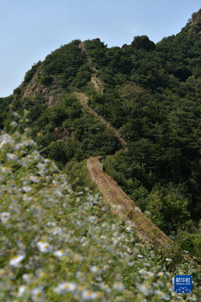 澳门客户端平台